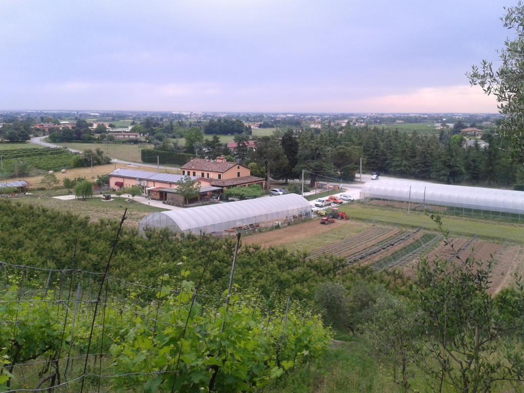 체세나 Agriturismo Perugini B&B 외부 사진