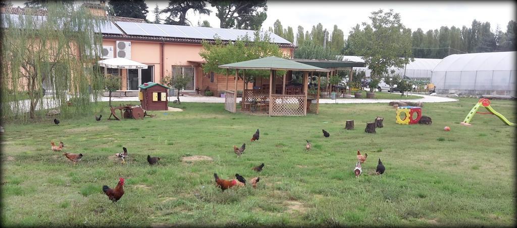 체세나 Agriturismo Perugini B&B 외부 사진